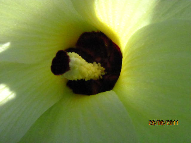 IMG_5410.JPG