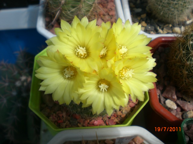 CIMG8086.JPG