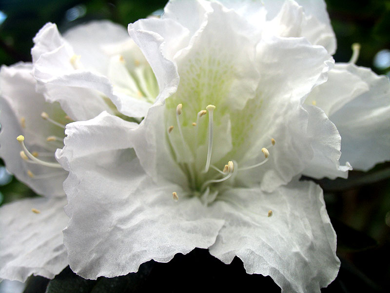 IMG_1000Small.jpg