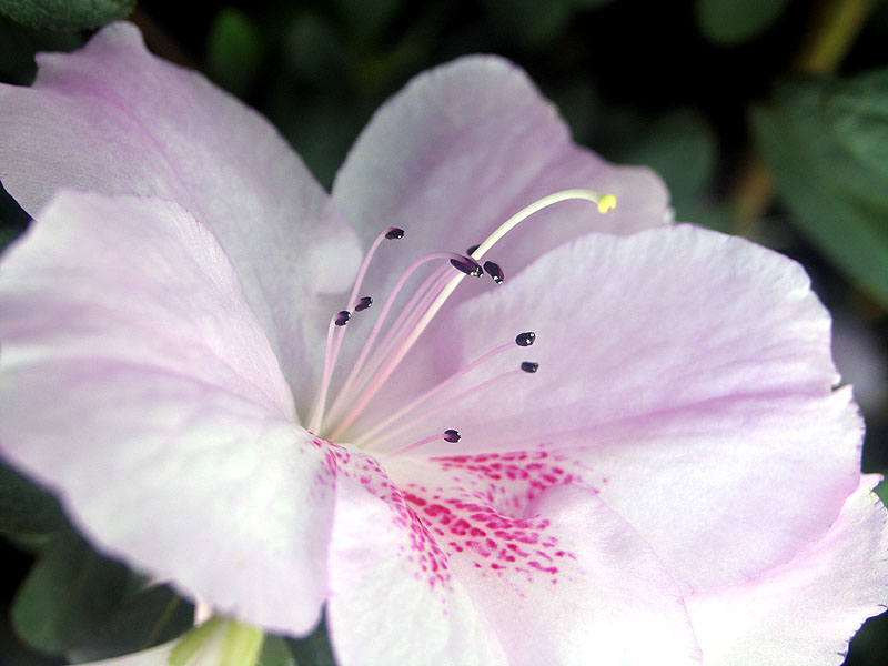 IMG_0973Small.jpg