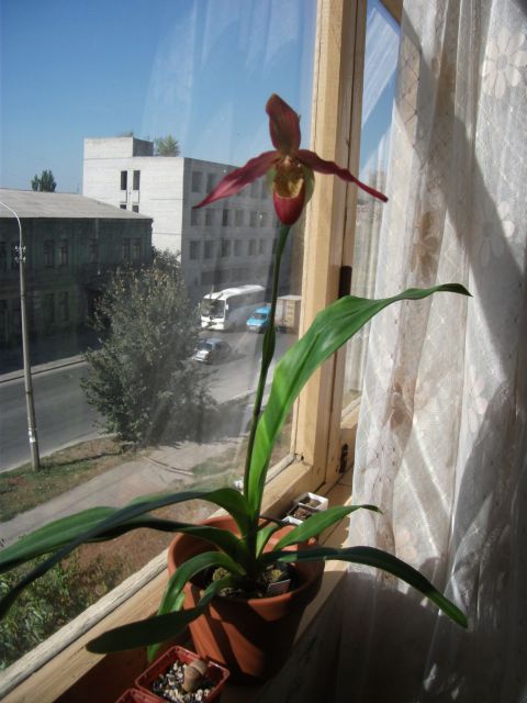 DSCF0999.JPG