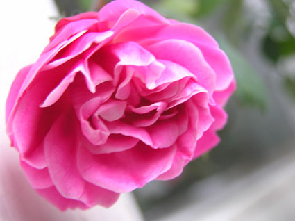 PB110054`.jpg