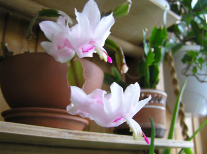 PB050041.jpg