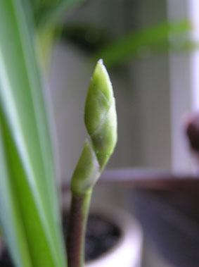 PB050036.jpg