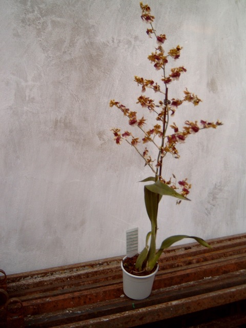 p4100005_202.jpg