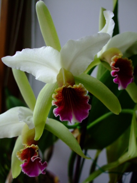 DSCF1162.jpg