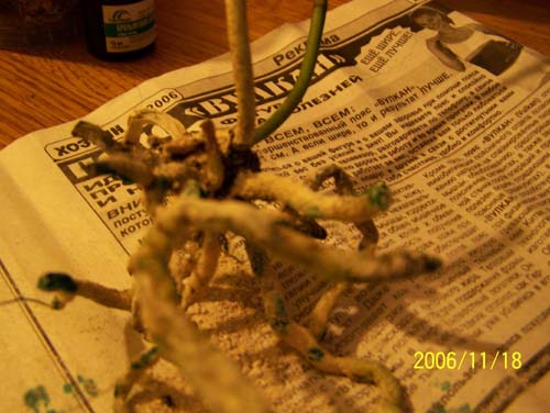 101_0324.jpg