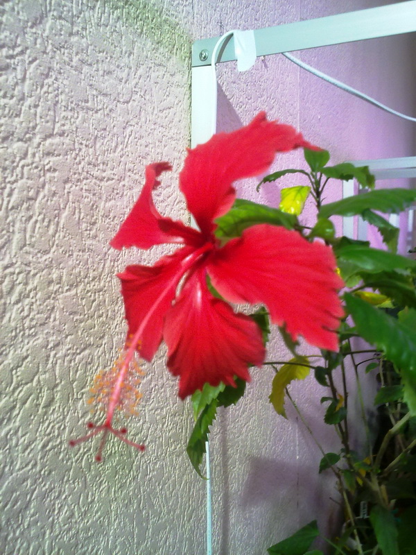 031220112085.jpg