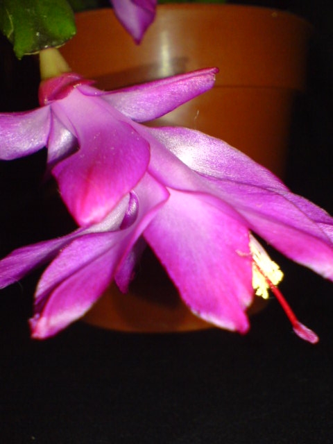DSC00375.JPG