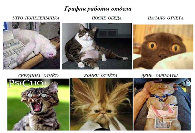 image001.jpg
