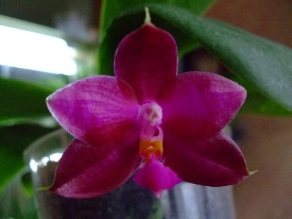 DSCF1482.jpg