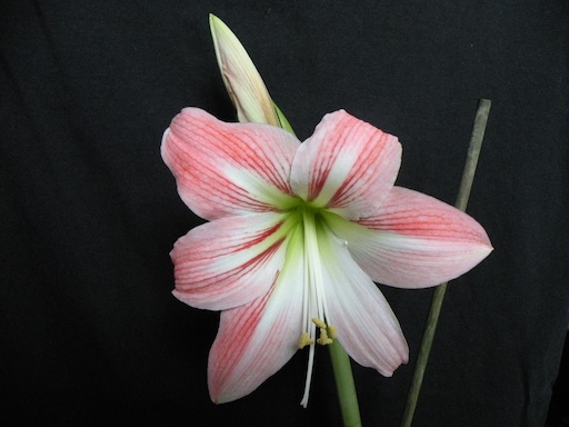 DSCN8055.jpg