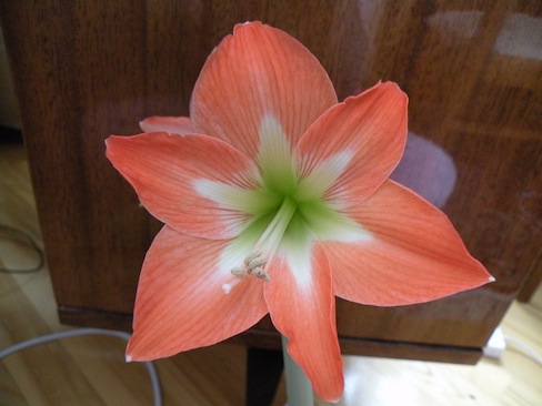 DSCN8205.jpg