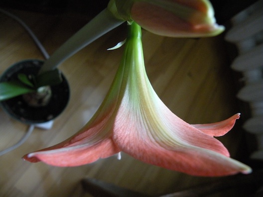 DSCN8198.jpg