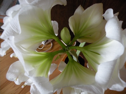 DSCN8217.jpg