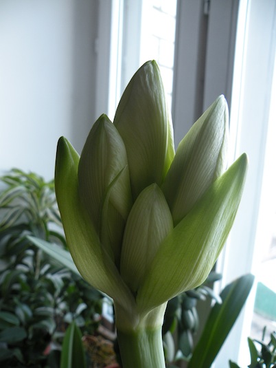 DSCN8191.jpg