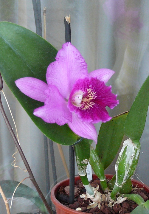 P1020301.JPG