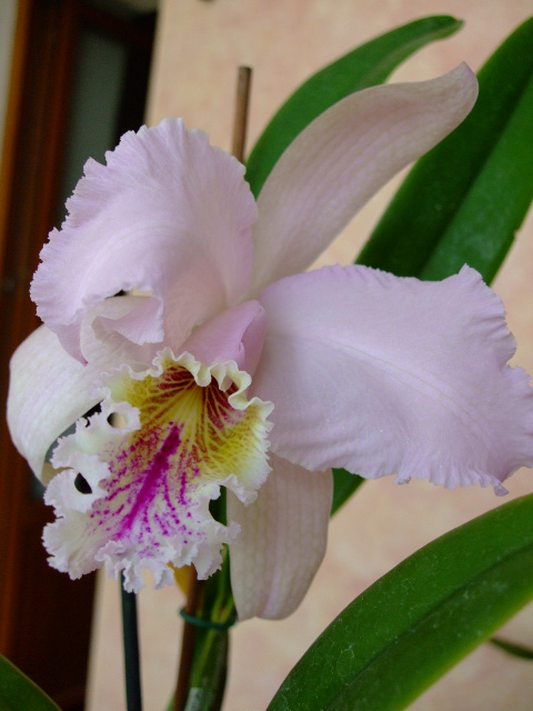 DSCF1614.jpg