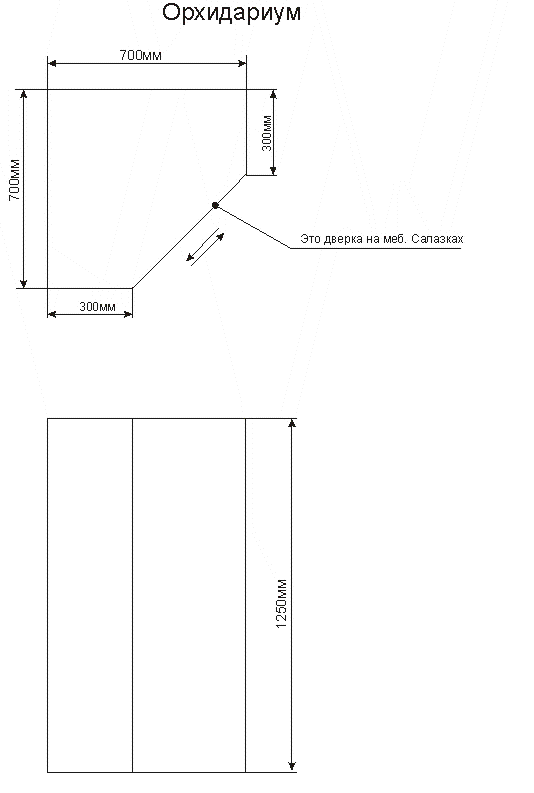 orhidarium-v1.gif