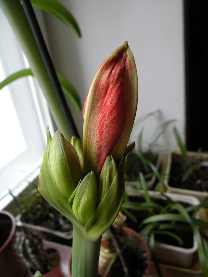 DSCN8397.jpg