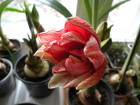 DSCN8401.jpg