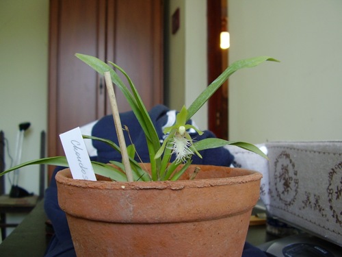 P2230345m.JPG