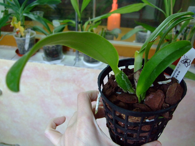 DSCF1660.jpg