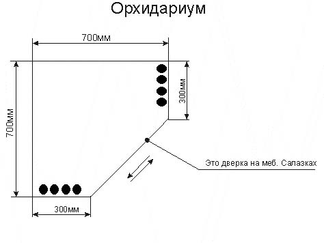 orhidarium_v1_207.jpg