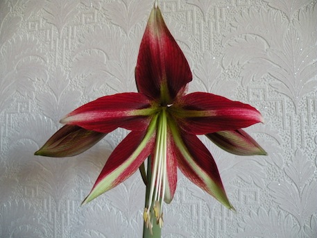 DSCN8516.jpg