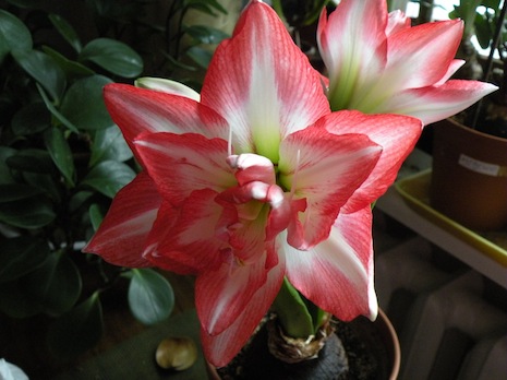 DSCN8548.jpg