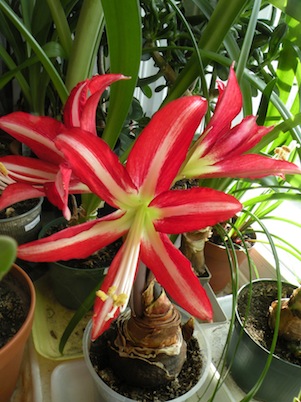 DSCN8663.jpg