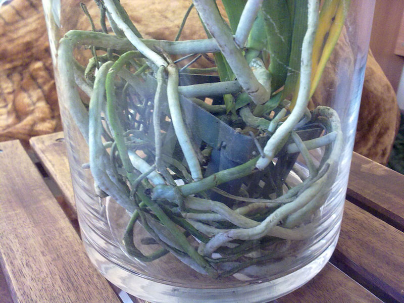 06042012187.jpg