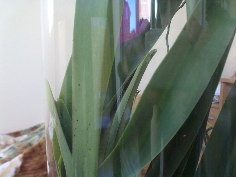 06042012188.jpg