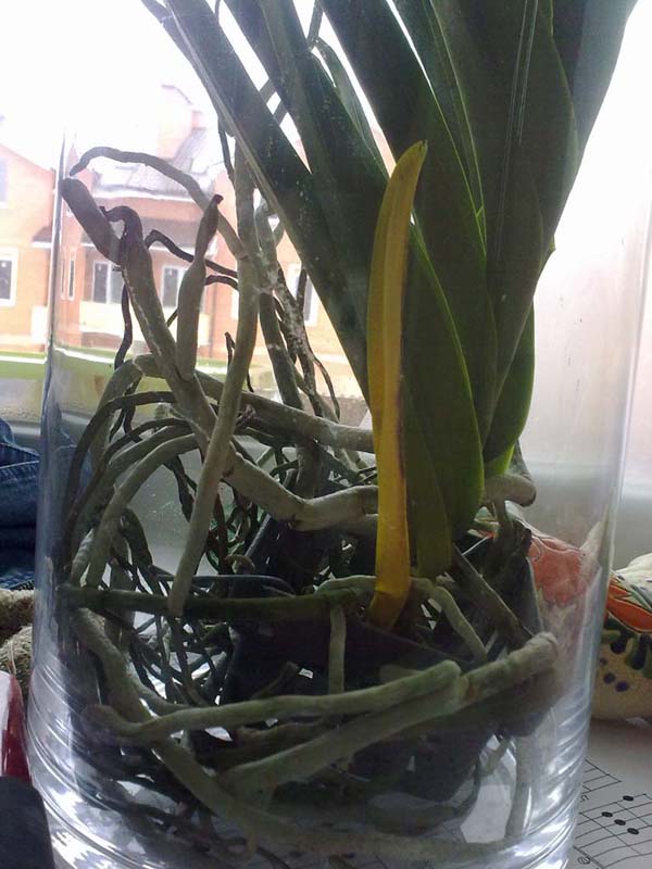 08042012196.jpg