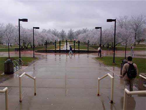 Untitled-9.jpg