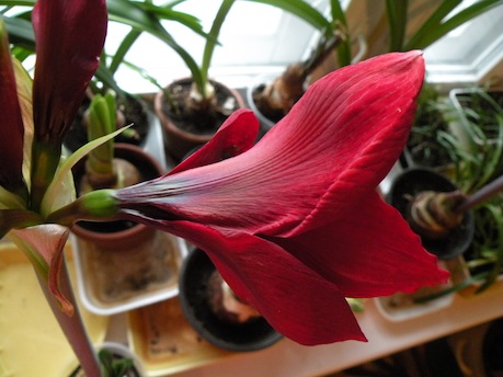 DSCN8761.jpg