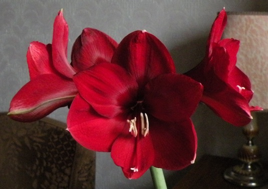 DSCN8804.jpg