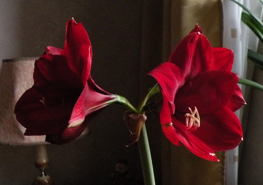 DSCN8807.jpg