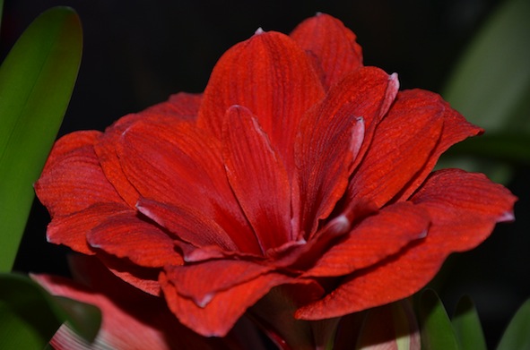 DSC_0008.jpg
