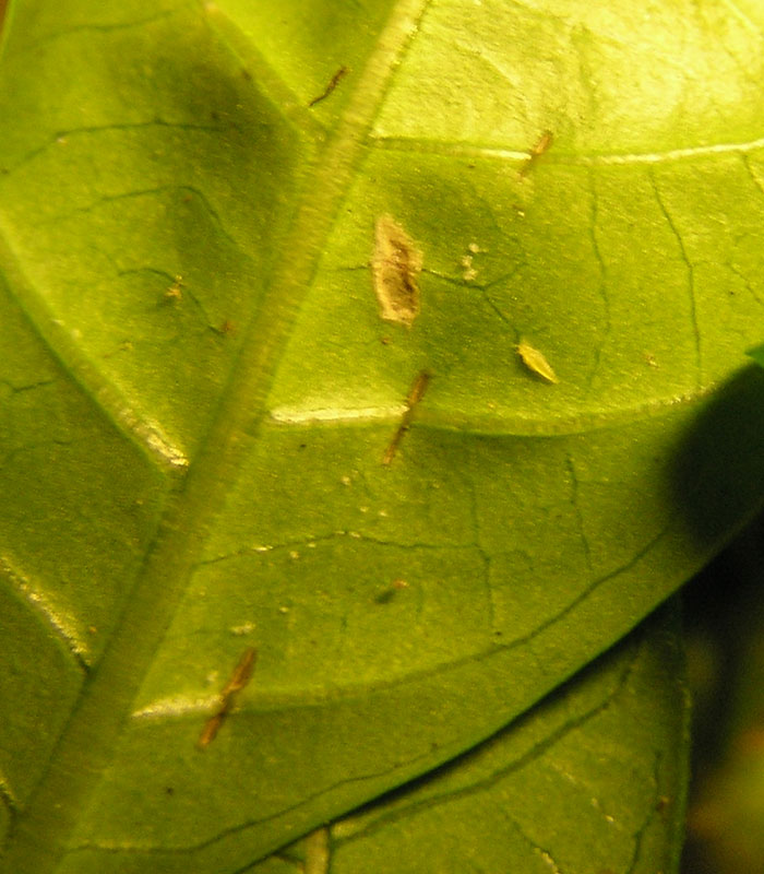 PC020134.jpg
