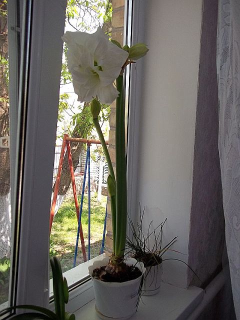 100_1358.JPG