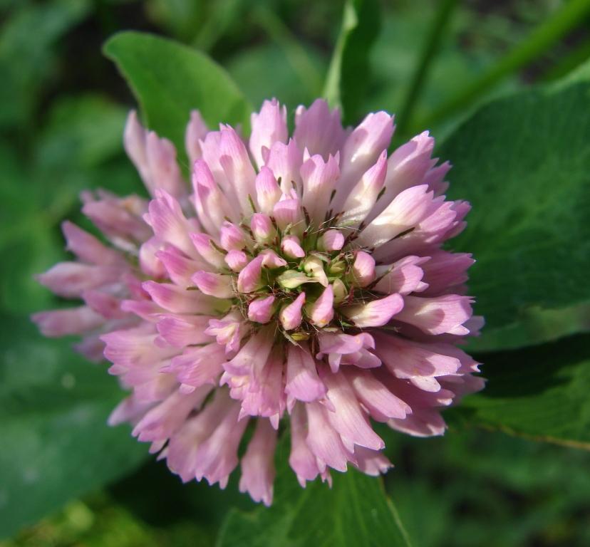 DSC00402.JPG