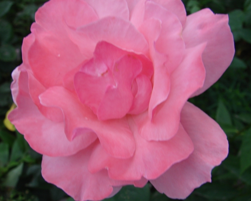 DSC01164.JPG