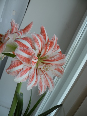 DSCN8939.jpg
