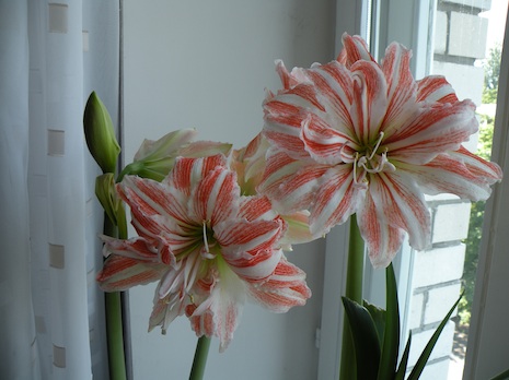 DSCN8936.jpg