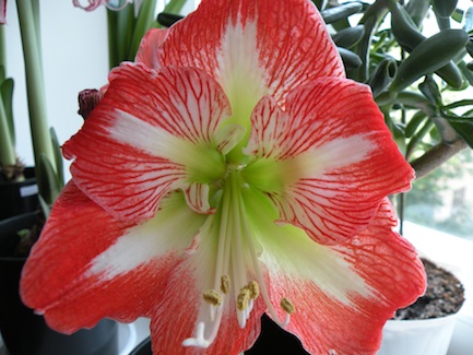 DSCN8947.jpg