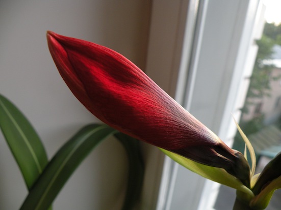 DSCN9037.jpg