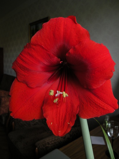 DSCN9045.jpg