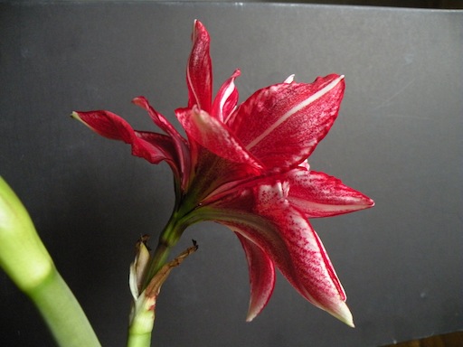 DSCN9455.JPG