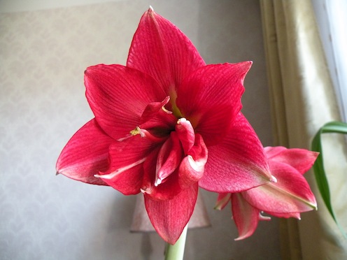 DSCN9507.JPG